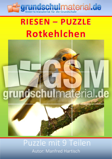 Riesenpuzzle_Rotkehlchen.pdf